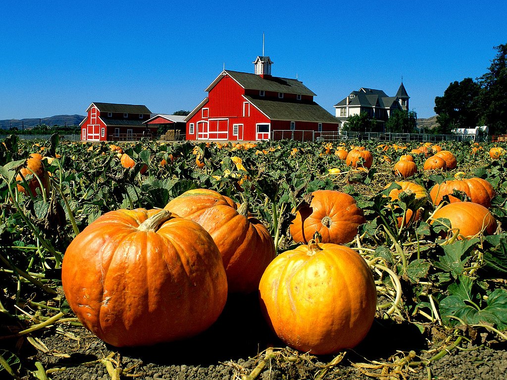 Faulkner Farm, Santa Paula, California